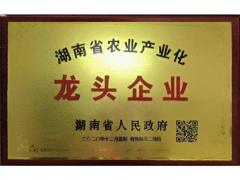 岳陽市漁之源食品有限公司,岳港漁都,洞庭魚港,散稱系列,田螺系列,臭豆腐加工，香豆腐加工，烤脖加工，魚仔,鴨排加工、雞丁加工代加工